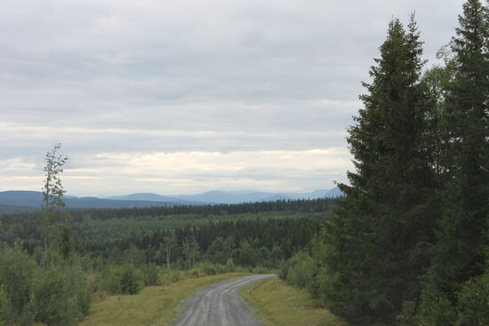 Am späten Nachmittag wird die Schotterpiste zum Weg und noch später ist sie nur noch ein Pfad durch den Wald. Jetzt wird es echt Offroad incl. einer Furt-Durchfahrt. Bevor ich aber den Wasserlauf durchfahren habe, Gummistiefel an und mir den Bach von nahen angesehen.  Hier im tiefsten Wald plötzlich eine Panne zu haben oder stecken zu bleiben, ist nicht gerade wünschenswert. Es scheint aber zu gehen. Langsam rein in den Bach und mit ein wenig mehr Schwung wieder heraus. Die Gummistiefel zurück und die Fahrt geht im Schleichtempo weiter. Vor lauter Aufregung habe ich vergessen Fotos zu machen.