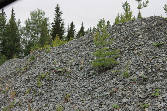 Ist es wirklich schon Dienstag? Die erste Woche in Schweden ist bereits cognac, Tschuldigung, rum und ist im nu verflogen. Gutes Zeichen dafür, dass es mir trotz des schlechten Wetter Spaß gemacht hat! Aufbruch in den Tag 4 der DISTL und wie sollte es anders sein, es regnet.