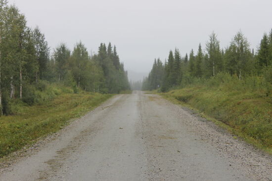 Kaum unterwegs und ein ganz schwaches Handysignal (wie kommt es in den Schwedischen Wäldern dazu?). Vollbremsung, anhalten und Gabi jetzt erst einmal nachträglich zum Geburtstag gratuliert. Sie hat sich über die Glückwünsche zu Ihren 59.5ten Geburtstag sehr gefreut.
