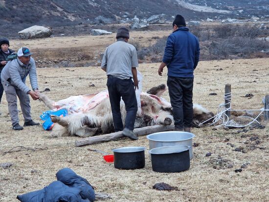 Die Steaks bekommen die Touris