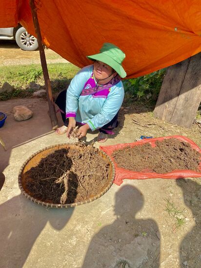 Cannabis! Angeblich für bestimmte Anlässe….in den Bergdörfern normal. Vietnam hat ein ausschließliches Verbot für den Gebrauch