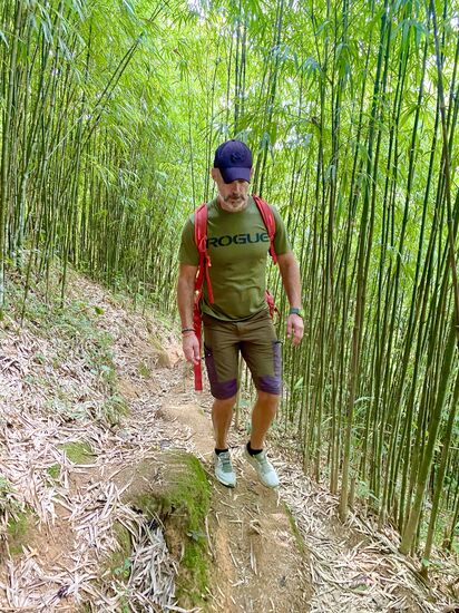 durch den Bambuswald…