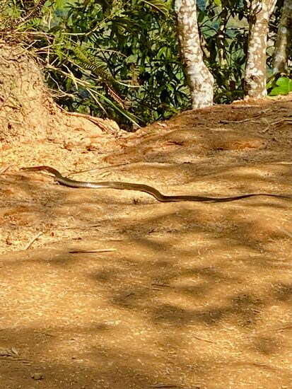 uups……..was kommt denn da