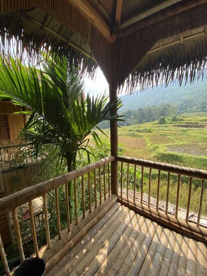 Ausblick auf die Reisterrassen