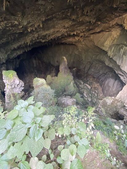 die Fledermaushöhle