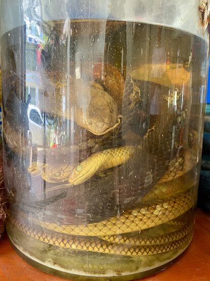 : Hiiiiiiiiiilfeeeeeee ……..bitte nicht !!!!