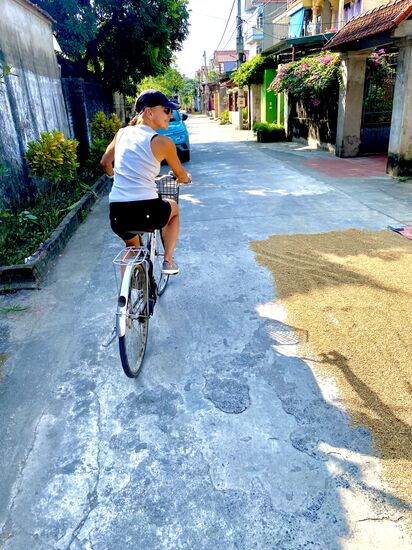 mit dem Fahrrad Tam Coc (ein Bezirk von Ninh Binh)
auf den Straßen wird der Reis getrocknet