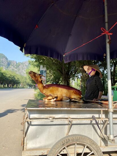 wir haben Hunger aber den unterdrücken wir dann mal lieber 