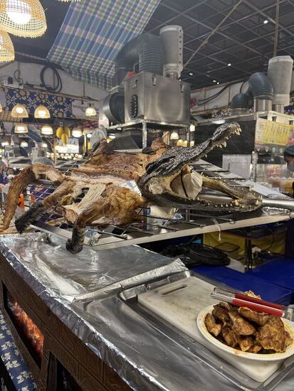 Krokodilfleisch , zart und lecker 