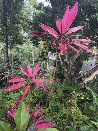 die Natur von unserer Terrasse aus bewundern