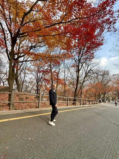 und überall die schönen, roten Ahornbäume