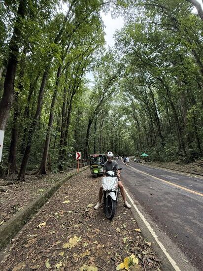 der Mad Tree Wald. 
Hunderte Mangrovenbäume die an der Baumkrone zusammenwachsen und dadurch quasi ein Baumdach bilden