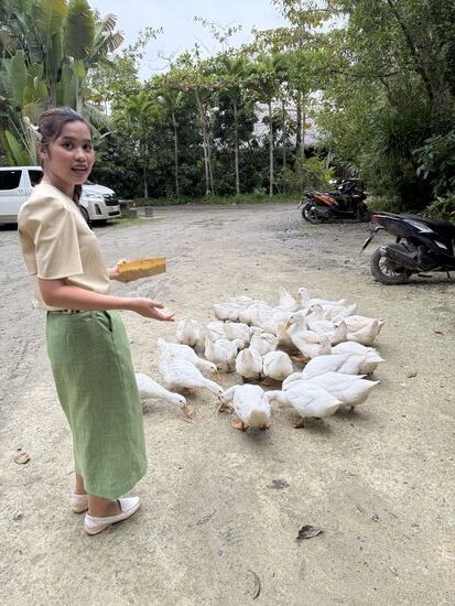 und einer Menge Haustiere 