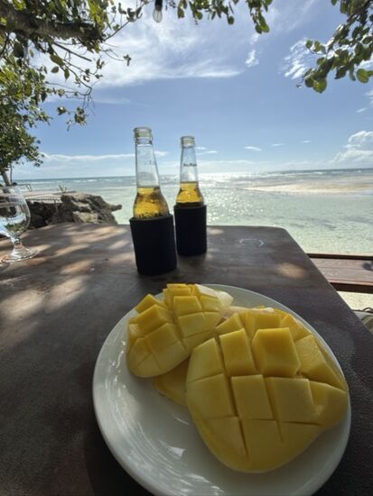 überall gibt es leckere Mangos