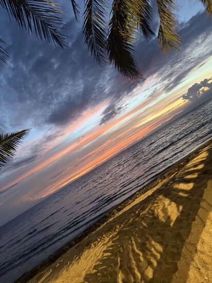 es fing so an 
gold, gelb, orange