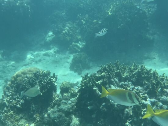 aber alles mit dem Iphone gemacht, dafür gar nicht so schlecht.