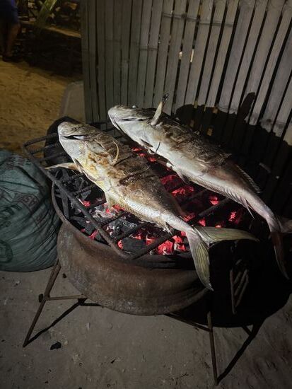und für das Abendessen den frisch gefangenen Fisch auf dem Grill