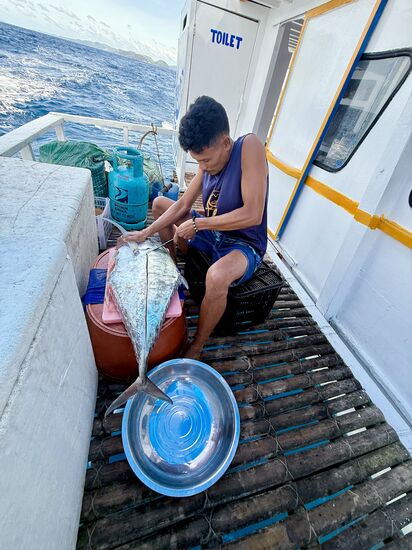 unser Küchenchef Dariel hatte aber vorsichtshalber bei den Fischern heute einen gekauft  , er traute Chris wohl auch nicht. 
und der wird jetzt zubereitet und……..