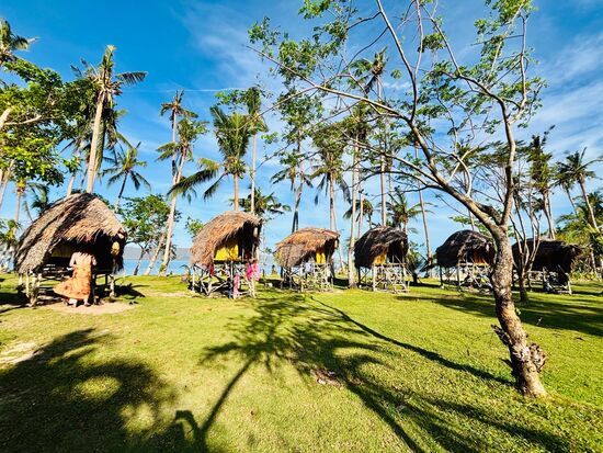 Man sieht hier in diesem Camp auch die Schäden des letzten Taifuns. Die Hütten wurden von den fleißigen TAO Mitarbeitern sehr schnell wieder aufgebaut, die Natur allerdings, wie man hier an den Palmen erkennt, braucht da mindestens ein Jahr Regeneration