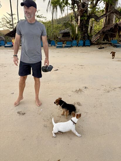 die kleinen Fellnasen freuen sich auf viele Streicheleinheiten der ankommenden Gäste