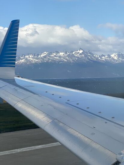 Aerolinas Argentinas erst nach Buenos Aires und anschließend am Abend nach Iguazu. Eine blöde Warterei am Airport nacional.
Aber es gibt heute keine andere Verbindung! nach ca 7 Stunden Warterei (die Maschine hat auch noch Verspätung)starten wir nun endlich Richtung Puerto Iguazu auf der argentinischen Seite. Nach einer Stunde und zwanzig Minuten sind wir da und alles geht wirklich reibungslos! Gepäck da und unser Taxifahrer Ramon den uns unser Hotel geschickt hat wartet auch schon auf uns. Nach 25 Minuten Fahrzeit sind wir in der kleinen süßen Pousada angekommen und alles sieht wirklich sehr schön aus.
Wir hören die Grillen zirpen und endlos viele andere typisch tropische Geräusche! Ja von der antarktischen Kälte in den subtropischen Dchungel Das sieht man schon an den wunderbaren Pflanzen.
