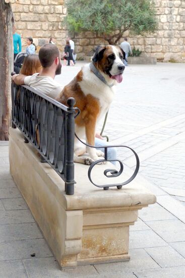 Ein Tourist in Sevilla