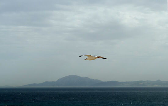 Die Straße von Gibraltar: links das Mittelmeer, rechts der Atlantik, dazwischen Marokko