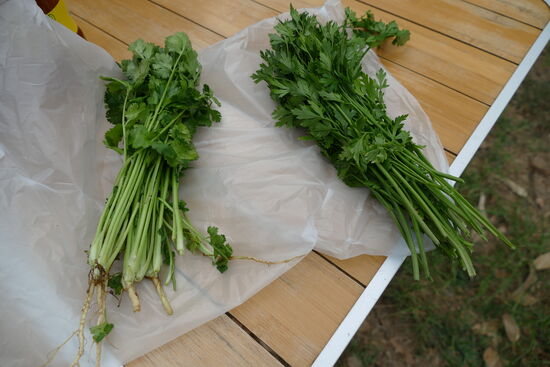 So einfach kann es sein