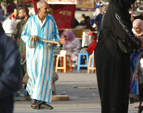 Hier gibt es Geschichtenerzähler, Wahrsager, Akrobaten, Gnoua-Musiker...