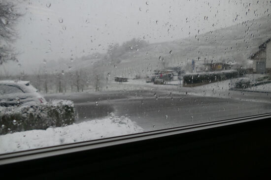 Morgendlicher Blick aus dem Wohnmobiil: wir sind zurück in Deutschland