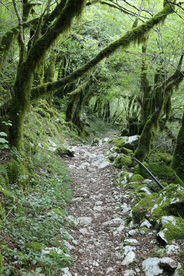 Auf dem Weg nach Mordor