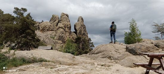 Das Hamburger Wappen