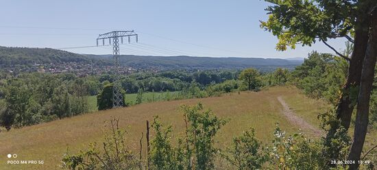 Der Weg für über die Wiese im Hintergrund Gernrode