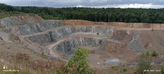 Grauwacke , Ballenstedt