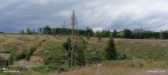 Im Hintergrund der carlsturm da sind wir gewesen