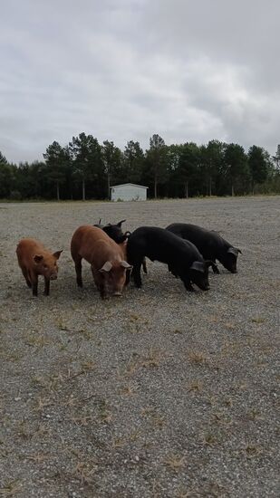 Echt süß und ganz zutraulich