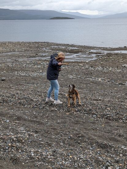 Sammy beim spielen am Strand