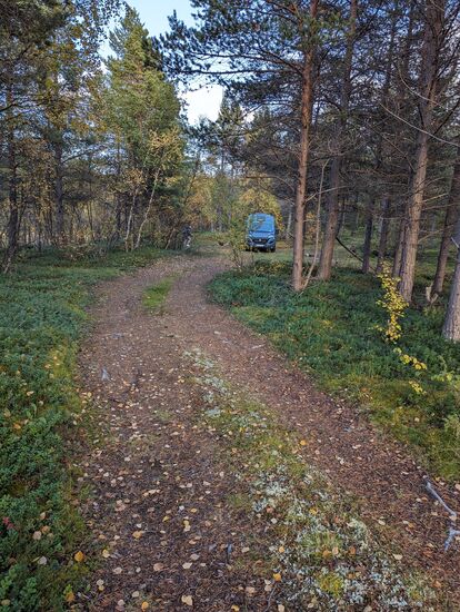 Schlafplatz im Wald in der Nähe von Posangmoen