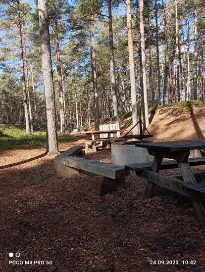 Grillplatz im Wald