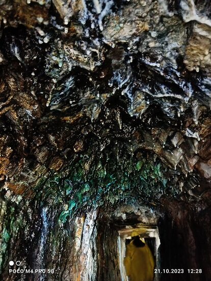 Eine unheimliche Farbenpracht