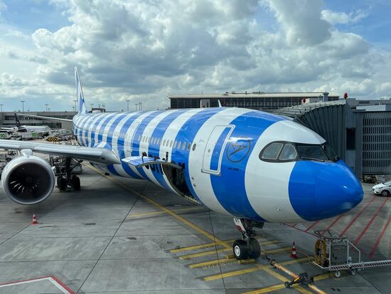 Mit diesem schicken Condor Flugzeug sind wir geflogen.
