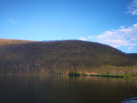 Im Hintergrund sieht man abgebrannte Bäume. Waldbrände sind in dieser Region nicht ungewöhnlich.