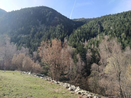 Abbildung 8: Schöne Landschaft entlang des Flusses Madriu