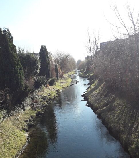 Abbildung 4. Der Fluss und die umliegenden Bäume in Vaduz