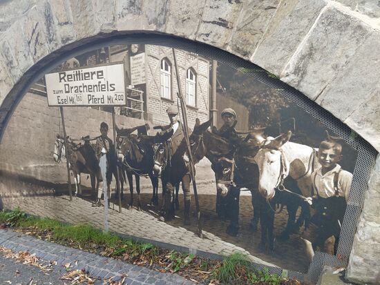Drachenfelsen-Wanderweges(Eselsweg)