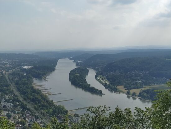 Vom Drachenfelsen auf den Rhein blacken