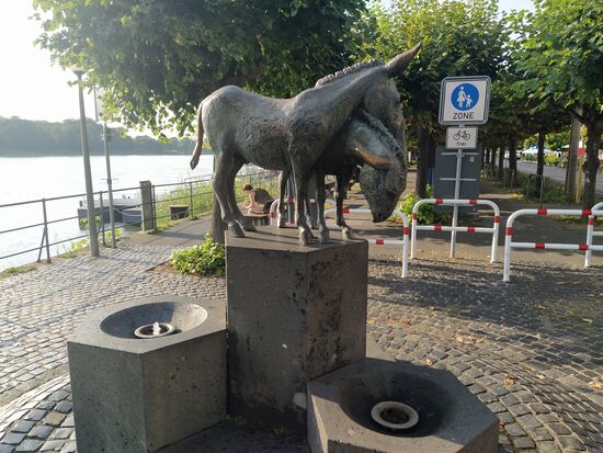 zwei verliebte Esel