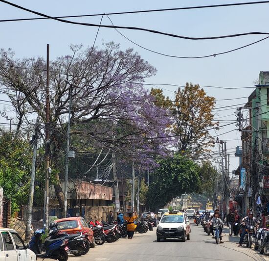 Straße am Fuß des Affentempels