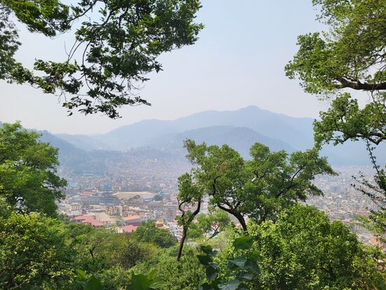 Ausblick vom Monkey Temple