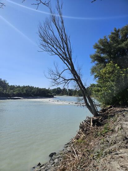Spuren des Hochwassers